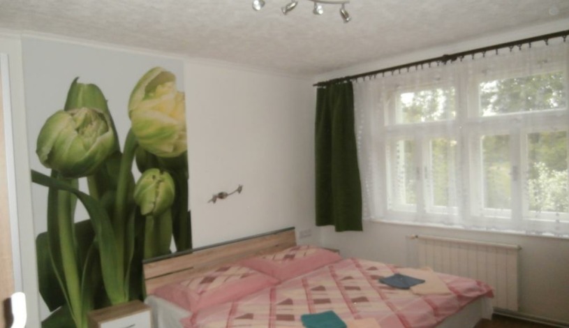 Penzion Pokorný Jablonec nad Nisou - Dvoulůžkový